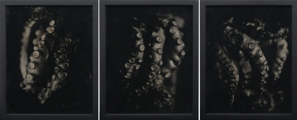 Raena Abella - Trois Couers